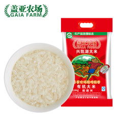 米界新星，品味初绽 | 新品「米」系列速递